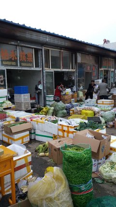 昨日與今日的交匯 內蒙古博物院與東瓦窯市場的呼和浩特印記